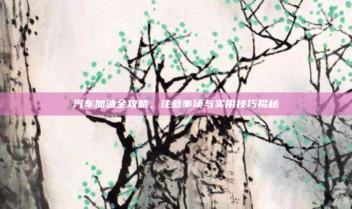 汽车加油全攻略,注意事项与实用技巧揭秘