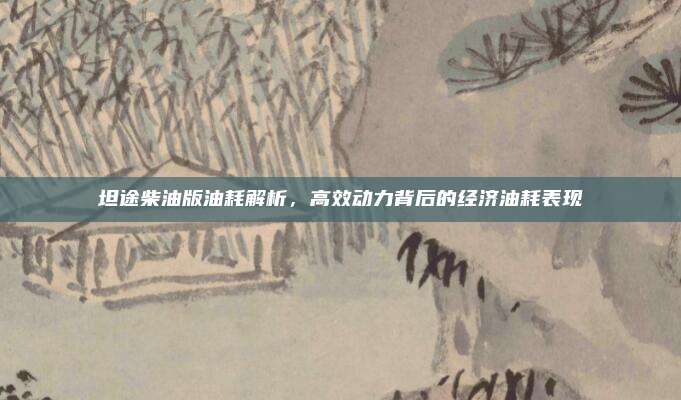 坦途柴油版油耗解析，高效动力背后的经济油耗表现