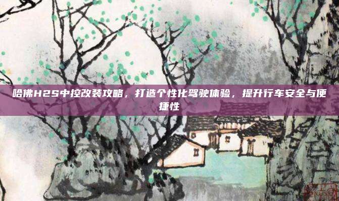哈佛H2S中控改装攻略,打造个性化驾驶体验,提升行车安全与便捷性