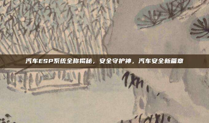 汽车ESP系统全称揭秘，安全守护神，汽车安全新篇章