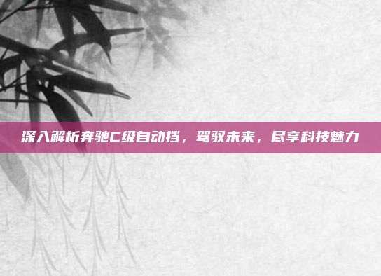 深入解析奔驰C级自动挡，驾驭未来，尽享科技魅力