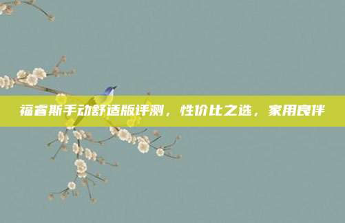 福睿斯手动舒适版评测,性价比之选,家用良伴
