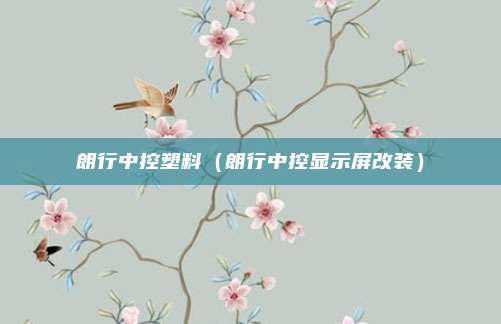 朗行中控塑料（朗行中控显示屏改装）