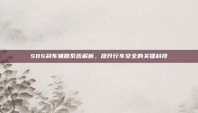 SBS刹车辅助系统解析，提升行车安全的关键科技