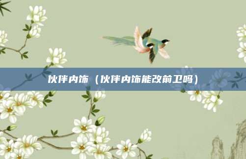 伙伴内饰（伙伴内饰能改前卫吗）