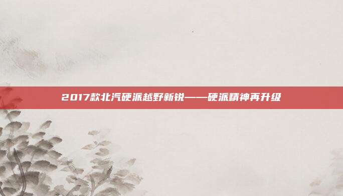 2017款北汽硬派越野新锐——硬派精神再升级