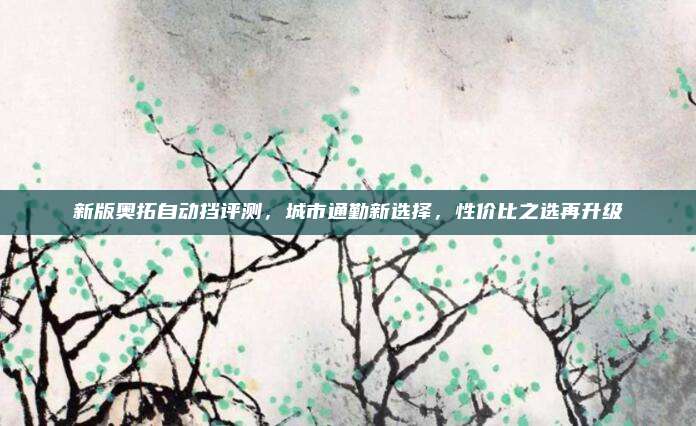新版奥拓自动挡评测，城市通勤新选择，性价比之选再升级