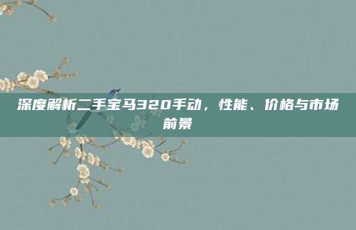 深度解析二手宝马320手动，性能、价格与市场前景