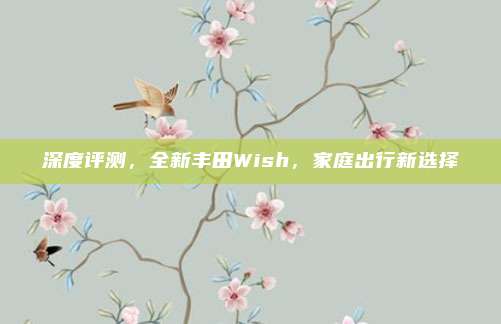 深度评测，全新丰田Wish，家庭出行新选择