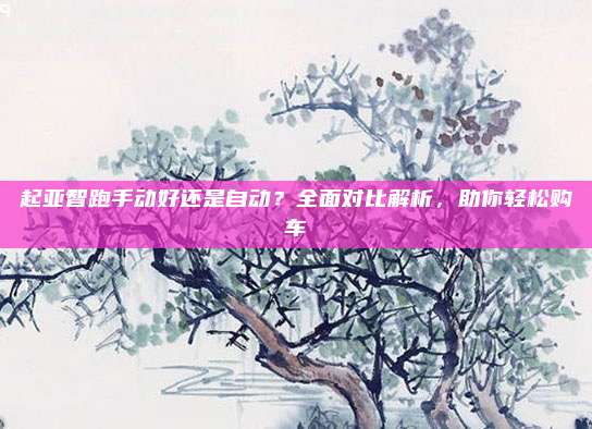 起亚智跑手动好还是自动？全面对比解析，助你轻松购车