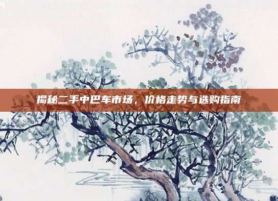 揭秘二手中巴车市场，价格走势与选购指南