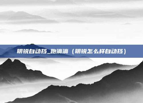 明锐自动挡_跑滴滴（明锐怎么样自动挡）