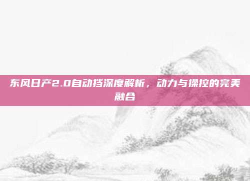 东风日产2.0自动挡深度解析，动力与操控的完美融合