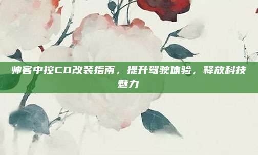 帅客中控CD改装指南，提升驾驶体验，释放科技魅力