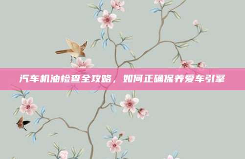 汽车机油检查全攻略，如何正确保养爱车引擎