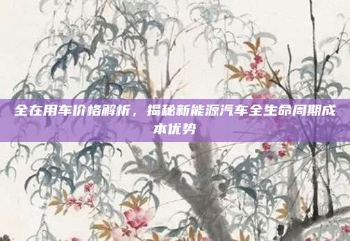 全在用车价格解析，揭秘新能源汽车全生命周期成本优势
