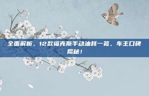 全面解析,12款福克斯手动油耗一览,车主口碑揭秘!