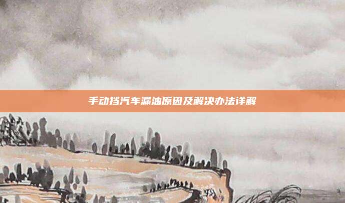 手动挡汽车漏油原因及解决办法详解