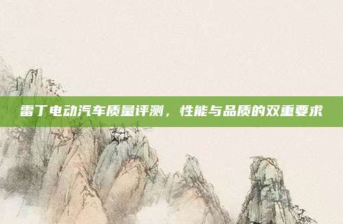 雷丁电动汽车质量评测,性能与品质的双重要求