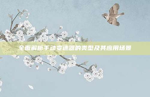 全面解析手动变速器的类型及其应用场景
