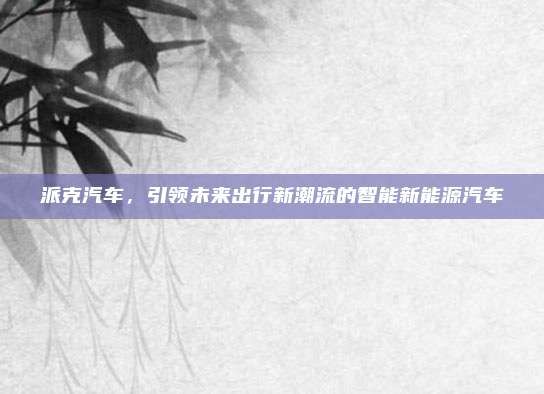 派克汽车，引领未来出行新潮流的智能新能源汽车