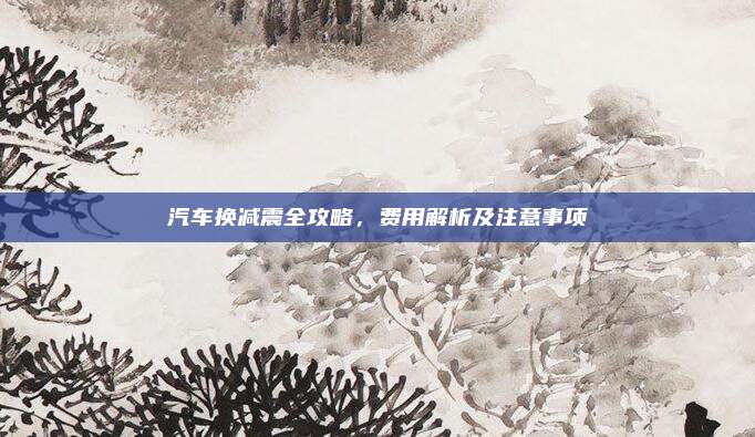 汽车换减震全攻略,费用解析及注意事项