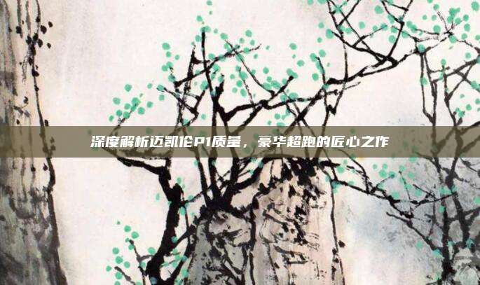 深度解析迈凯伦P1质量，豪华超跑的匠心之作