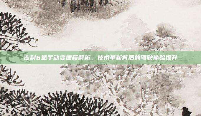 吉利6速手动变速箱解析，技术革新背后的驾驶体验提升