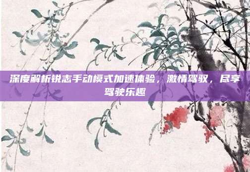 深度解析锐志手动模式加速体验，激情驾驭，尽享驾驶乐趣