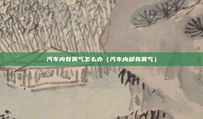 汽车内有雾气怎么办(汽车内部有雾气)