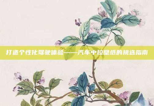 打造个性化驾驶体验——汽车中控壁纸的挑选指南