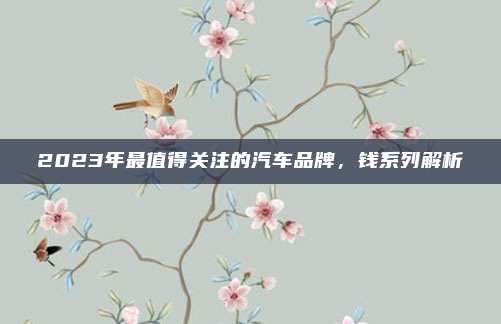 2023年最值得关注的汽车品牌,钱系列解析