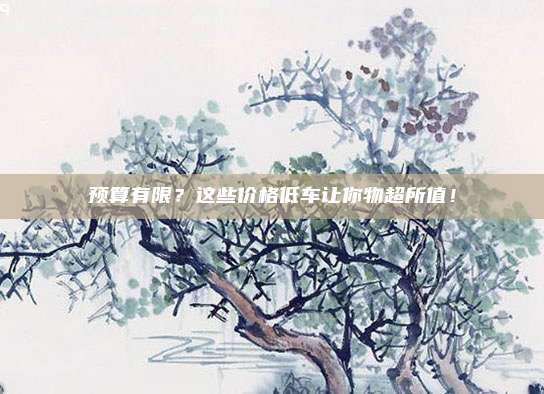 预算有限？这些价格低车让你物超所值！
