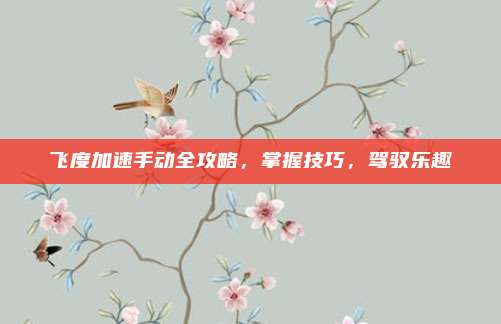 飞度加速手动全攻略,掌握技巧,驾驭乐趣