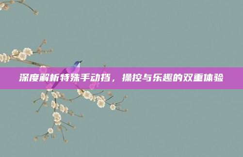 深度解析特殊手动挡,操控与乐趣的双重体验