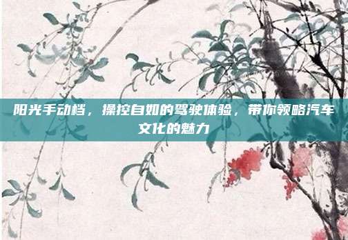 阳光手动档，操控自如的驾驶体验，带你领略汽车文化的魅力