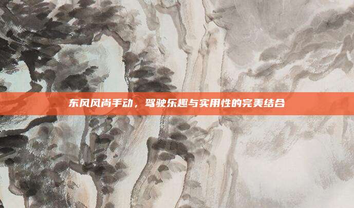 东风风尚手动,驾驶乐趣与实用性的完美结合