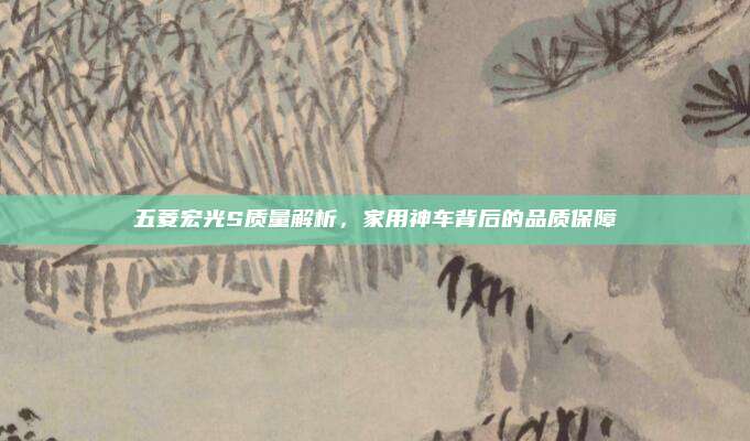 五菱宏光S质量解析，家用神车背后的品质保障