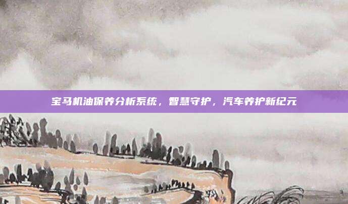 宝马机油保养分析系统，智慧守护，汽车养护新纪元