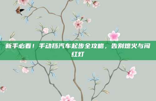 新手必看！手动挡汽车起步全攻略，告别熄火与闯红灯