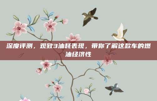 深度评测,观致3油耗表现,带你了解这款车的燃油经济性