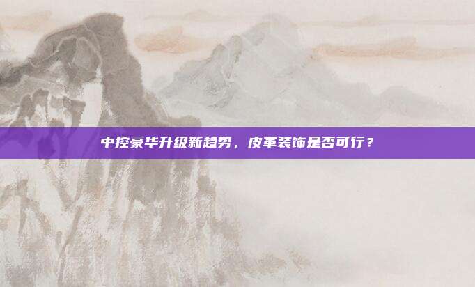 中控豪华升级新趋势，皮革装饰是否可行？