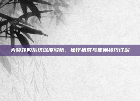 天籁转向系统深度解析，操作指南与使用技巧详解