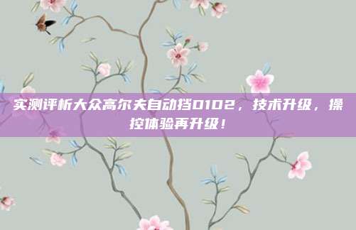 实测评析大众高尔夫自动挡D1D2,技术升级,操控体验再升级!