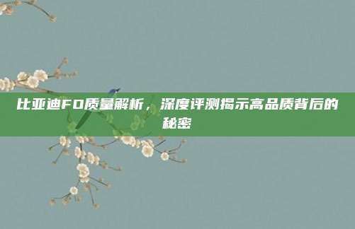 比亚迪FO质量解析，深度评测揭示高品质背后的秘密
