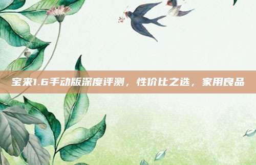 宝来1.6手动版深度评测，性价比之选，家用良品