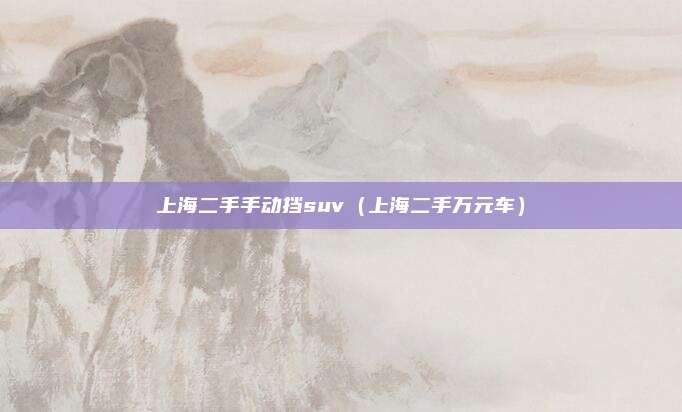 上海二手手动挡suv（上海二手万元车）