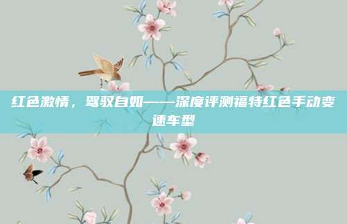 红色激情，驾驭自如——深度评测福特红色手动变速车型