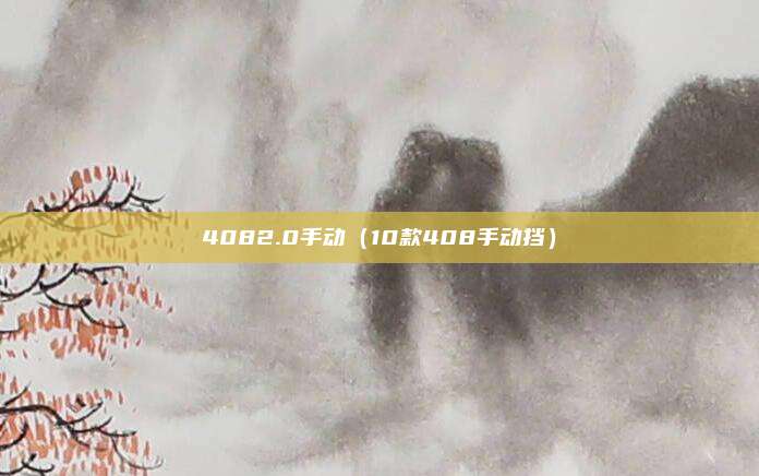 4082.0手动（10款408手动挡）