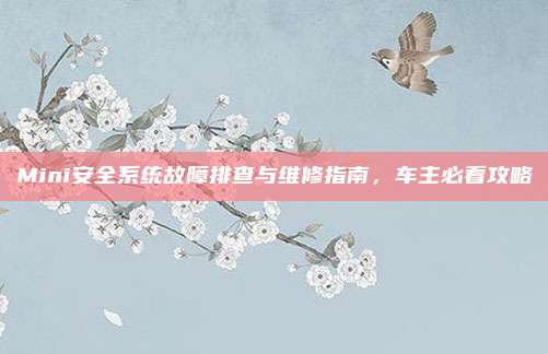 Mini安全系统故障排查与维修指南,车主必看攻略